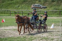 044 MANIABILITE - ATTELAGE - 27052017-ATE 1329 : 2017, 27 Mai 2017, Concours ATTELAGE 2017, D204, Maniabilité, P09