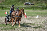 045 MANIABILITE - ATTELAGE - 27052017-ATE 1330 : 2017, 27 Mai 2017, Concours ATTELAGE 2017, D204, Maniabilité, P09