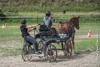 046 MANIABILITE - ATTELAGE - 27052017-ATE 1331 : 2017, 27 Mai 2017, Concours ATTELAGE 2017, D204, Maniabilité, P09