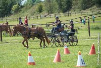 048 MANIABILITE - ATTELAGE - 27052017-ATE 1333 : 2017, 27 Mai 2017, Concours ATTELAGE 2017, D204, Maniabilité, P09