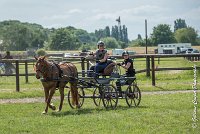 049 MANIABILITE - ATTELAGE - 27052017-ATE 1334 : 2017, 27 Mai 2017, Concours ATTELAGE 2017, D204, Maniabilité, P09