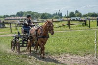 051 MANIABILITE - ATTELAGE - 27052017-ATE 1336 : 2017, 27 Mai 2017, Concours ATTELAGE 2017, D204, Maniabilité, P09