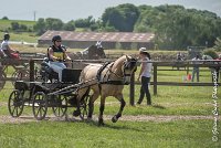 001 MANIABILITE - ATTELAGE - 27052017-ATE 1170 : 2017, 27 Mai 2017, Concours ATTELAGE 2017, D206, Maniabilité, P06