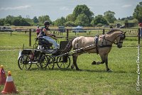 003 MANIABILITE - ATTELAGE - 27052017-ATE 1172 : 2017, 27 Mai 2017, Concours ATTELAGE 2017, D206, Maniabilité, P06