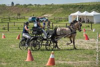 004 MANIABILITE - ATTELAGE - 27052017-ATE 1173 : 2017, 27 Mai 2017, Concours ATTELAGE 2017, D206, Maniabilité, P06