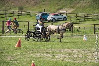 005 MANIABILITE - ATTELAGE - 27052017-ATE 1174 : 2017, 27 Mai 2017, Concours ATTELAGE 2017, D206, Maniabilité, P06