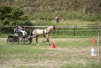 006 MANIABILITE - ATTELAGE - 27052017-ATE 1175 : 2017, 27 Mai 2017, Concours ATTELAGE 2017, D206, Maniabilité, P06