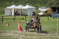 008 MANIABILITE - ATTELAGE - 27052017-ATE 1177 : 2017, 27 Mai 2017, Concours ATTELAGE 2017, D206, Maniabilité, P06