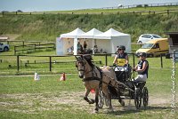 009 MANIABILITE - ATTELAGE - 27052017-ATE 1178 : 2017, 27 Mai 2017, Concours ATTELAGE 2017, D206, Maniabilité, P06