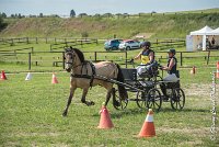 010 MANIABILITE - ATTELAGE - 27052017-ATE 1179 : 2017, 27 Mai 2017, Concours ATTELAGE 2017, D206, Maniabilité, P06