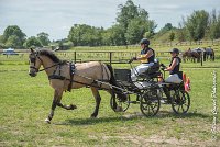 011 MANIABILITE - ATTELAGE - 27052017-ATE 1180 : 2017, 27 Mai 2017, Concours ATTELAGE 2017, D206, Maniabilité, P06