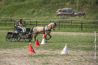 013 MANIABILITE - ATTELAGE - 27052017-ATE 1182 : 2017, 27 Mai 2017, Concours ATTELAGE 2017, D206, Maniabilité, P06