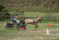 014 MANIABILITE - ATTELAGE - 27052017-ATE 1183 : 2017, 27 Mai 2017, Concours ATTELAGE 2017, D206, Maniabilité, P06