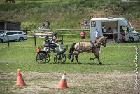 015 MANIABILITE - ATTELAGE - 27052017-ATE 1185 : 2017, 27 Mai 2017, Concours ATTELAGE 2017, D206, Maniabilité, P06