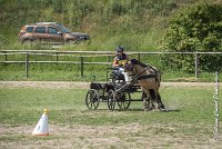 016 MANIABILITE - ATTELAGE - 27052017-ATE 1186 : 2017, 27 Mai 2017, Concours ATTELAGE 2017, D206, Maniabilité, P06