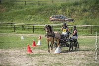 017 MANIABILITE - ATTELAGE - 27052017-ATE 1187 : 2017, 27 Mai 2017, Concours ATTELAGE 2017, D206, Maniabilité, P06