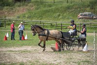 018 MANIABILITE - ATTELAGE - 27052017-ATE 1188 : 2017, 27 Mai 2017, Concours ATTELAGE 2017, D206, Maniabilité, P06