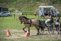 019 MANIABILITE - ATTELAGE - 27052017-ATE 1189 : 2017, 27 Mai 2017, Concours ATTELAGE 2017, D206, Maniabilité, P06