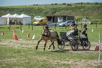 020 MANIABILITE - ATTELAGE - 27052017-ATE 1190 : 2017, 27 Mai 2017, Concours ATTELAGE 2017, D206, Maniabilité, P06