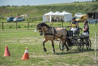 021 MANIABILITE - ATTELAGE - 27052017-ATE 1191 : 2017, 27 Mai 2017, Concours ATTELAGE 2017, D206, Maniabilité, P06