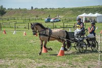 022 MANIABILITE - ATTELAGE - 27052017-ATE 1192 : 2017, 27 Mai 2017, Concours ATTELAGE 2017, D206, Maniabilité, P06