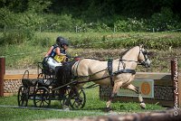 029 MANIABILITE - ATTELAGE - 27052017-ATE 1199 : 2017, 27 Mai 2017, Concours ATTELAGE 2017, D206, Maniabilité, P06