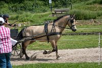 033 MANIABILITE - ATTELAGE - 27052017-ATE 1203 : 2017, 27 Mai 2017, Concours ATTELAGE 2017, D206, Maniabilité, P06