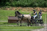 037 MANIABILITE - ATTELAGE - 27052017-ATE 1207 : 2017, 27 Mai 2017, Concours ATTELAGE 2017, D206, Maniabilité, P06