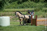 041 MANIABILITE - ATTELAGE - 27052017-ATE 1211 : 2017, 27 Mai 2017, Concours ATTELAGE 2017, D206, Maniabilité, P06