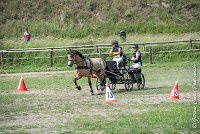 047 MANIABILITE - ATTELAGE - 27052017-ATE 1217 : 2017, 27 Mai 2017, Concours ATTELAGE 2017, D206, Maniabilité, P06