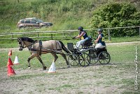 048 MANIABILITE - ATTELAGE - 27052017-ATE 1218 : 2017, 27 Mai 2017, Concours ATTELAGE 2017, D206, Maniabilité, P06