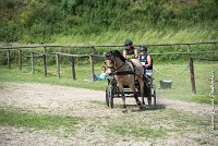 049 MANIABILITE - ATTELAGE - 27052017-ATE 1219 : 2017, 27 Mai 2017, Concours ATTELAGE 2017, D206, Maniabilité, P06