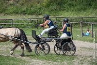 050 MANIABILITE - ATTELAGE - 27052017-ATE 1220 : 2017, 27 Mai 2017, Concours ATTELAGE 2017, D206, Maniabilité, P06