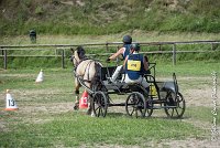 051 MANIABILITE - ATTELAGE - 27052017-ATE 1221 : 2017, 27 Mai 2017, Concours ATTELAGE 2017, D206, Maniabilité, P06