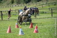 052 MANIABILITE - ATTELAGE - 27052017-ATE 1222 : 2017, 27 Mai 2017, Concours ATTELAGE 2017, D206, Maniabilité, P06