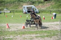 053 MANIABILITE - ATTELAGE - 27052017-ATE 1223 : 2017, 27 Mai 2017, Concours ATTELAGE 2017, D206, Maniabilité, P06