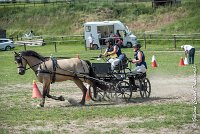 054 MANIABILITE - ATTELAGE - 27052017-ATE 1224 : 2017, 27 Mai 2017, Concours ATTELAGE 2017, D206, Maniabilité, P06