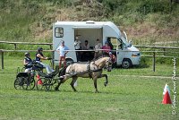 055 MANIABILITE - ATTELAGE - 27052017-ATE 1225 : 2017, 27 Mai 2017, Concours ATTELAGE 2017, D206, Maniabilité, P06