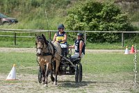 057 MANIABILITE - ATTELAGE - 27052017-ATE 1227 : 2017, 27 Mai 2017, Concours ATTELAGE 2017, D206, Maniabilité, P06