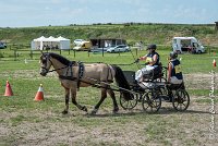 059 MANIABILITE - ATTELAGE - 27052017-ATE 1229 : 2017, 27 Mai 2017, Concours ATTELAGE 2017, D206, Maniabilité, P06