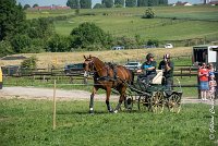 001 D301- MARATHON -ATTELAGE LOUVRES - MARATHON - 28052017-ATE 2041 : 2017, 28 mAI 2017, Concours ATTELAGE 2017, D301, MARATHON