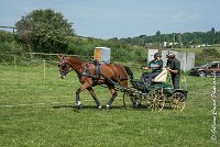 002 D301- MARATHON -ATTELAGE LOUVRES - MARATHON - 28052017-ATE 2042 : 2017, 28 mAI 2017, Concours ATTELAGE 2017, D301, MARATHON