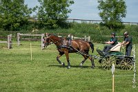 004 D301- MARATHON -ATTELAGE LOUVRES - MARATHON - 28052017-ATE 2079 : 2017, 28 mAI 2017, Concours ATTELAGE 2017, D301, MARATHON