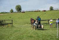 005 D301- MARATHON -ATTELAGE LOUVRES - MARATHON - 28052017-ATE 2080 : 2017, 28 mAI 2017, Concours ATTELAGE 2017, D301, MARATHON