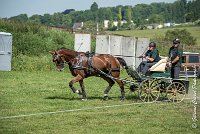 006 D301- MARATHON -ATTELAGE LOUVRES - MARATHON - 28052017-ATE 2091 : 2017, 28 mAI 2017, Concours ATTELAGE 2017, D301, MARATHON, Obstacle 3