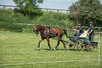 007 D301- MARATHON -ATTELAGE LOUVRES - MARATHON - 28052017-ATE 2092 : 2017, 28 mAI 2017, Concours ATTELAGE 2017, D301, MARATHON, Obstacle 3