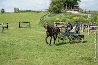 008 D301- MARATHON -ATTELAGE LOUVRES - MARATHON - 28052017-ATE 2094 : 2017, 28 mAI 2017, Concours ATTELAGE 2017, D301, MARATHON, Obstacle 3