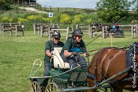 011 D301- MARATHON -ATTELAGE LOUVRES - MARATHON - 28052017-ATE 2097 : 2017, 28 mAI 2017, Concours ATTELAGE 2017, D301, MARATHON, Obstacle 3