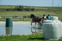 012 D301- MARATHON -ATTELAGE LOUVRES - MARATHON - 28052017-ATE 2100 : 2017, 28 mAI 2017, Concours ATTELAGE 2017, D301, MARATHON, Obstacle 3