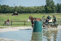 018 D301- MARATHON -ATTELAGE LOUVRES - MARATHON - 28052017-ATE 2106 : 2017, 28 mAI 2017, Concours ATTELAGE 2017, D301, MARATHON, Obstacle 3